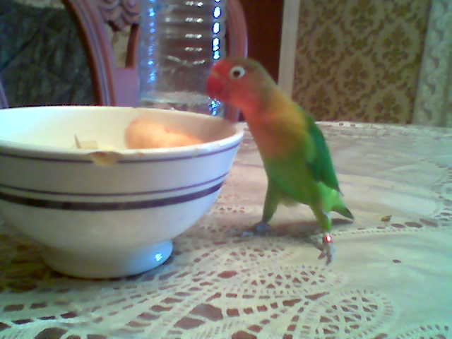 ...Mi fruta favoritaaaa!